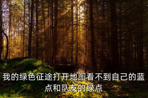我的绿色征途打开地图看不到自己的蓝点和队友的绿点