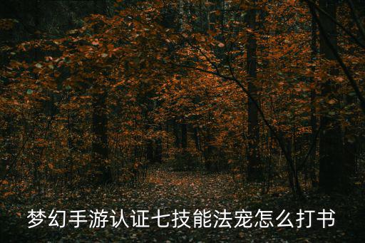 梦幻手游认证七技能法宠怎么打书
