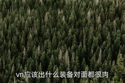 vn应该出什么装备对面都很肉