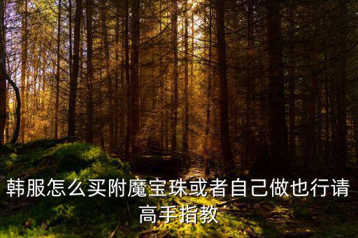 韩服怎么买附魔宝珠或者自己做也行请高手指教