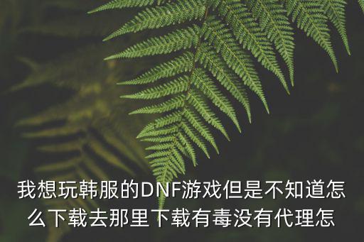 我想玩韩服的DNF游戏但是不知道怎么下载去那里下载有毒没有代理怎