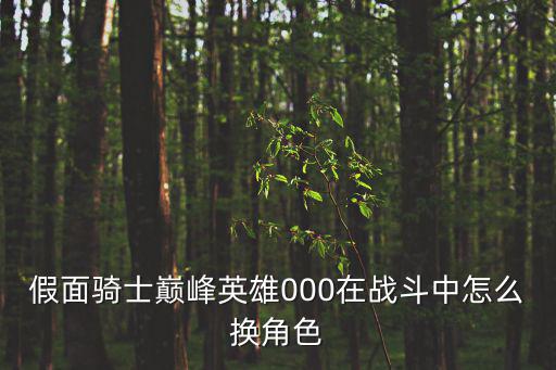 假面骑士手游版怎么换角色，假面骑士巅峰英雄000在战斗中怎么换角色