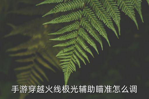 手游穿越火线极光辅助瞄准怎么调