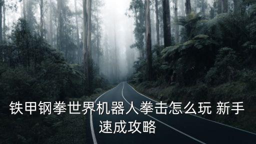 铁甲钢拳世界机器人拳击怎么玩 新手速成攻略