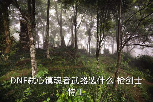 DNF弑心镇魂者武器选什么 枪剑士特工