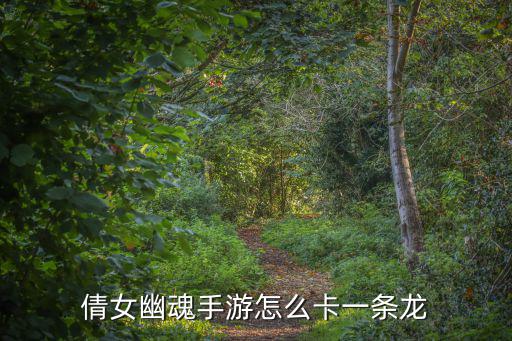 倩女幽魂手游怎么卡一条龙