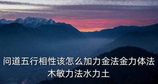 问道五行相性该怎么加力金法金力体法木敏力法水力土