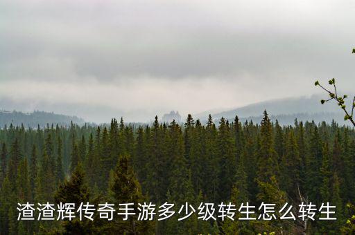 渣渣辉传奇手游多少级转生怎么转生