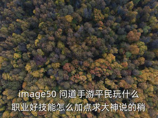 问道手游怎么搭配技能，问道手游的游戏里面79级试道队伍大众玩法怎么搭配