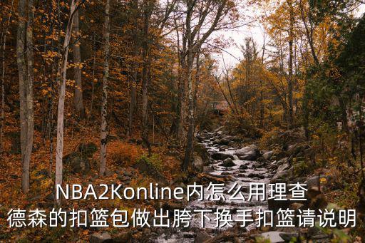 NBA2Konline内怎么用理查德森的扣篮包做出胯下换手扣篮请说明