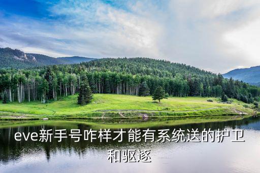 eve新手号咋样才能有系统送的护卫和驱逐