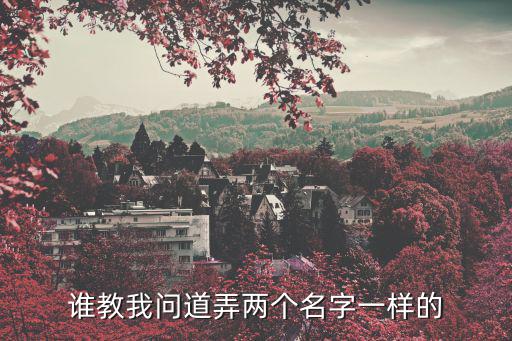 谁教我问道弄两个名字一样的