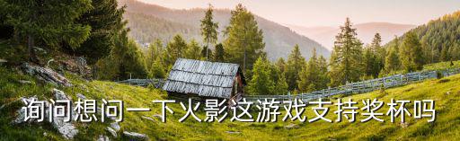 询问想问一下火影这游戏支持奖杯吗