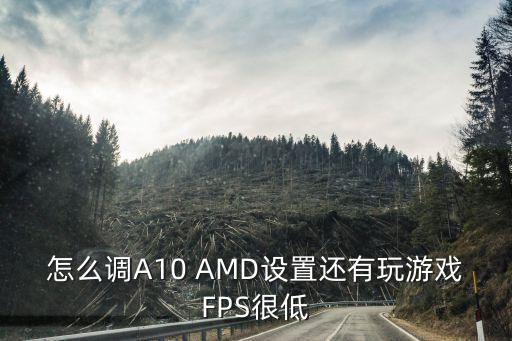 怎么调A10 AMD设置还有玩游戏FPS很低