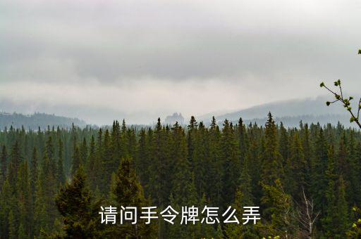 请问手令牌怎么弄