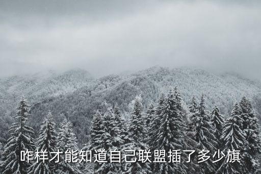 怎么查看联盟手游几颗星，咋样才能知道自己联盟插了多少旗