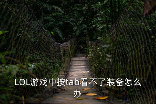 LOL游戏中按tab看不了装备怎么办