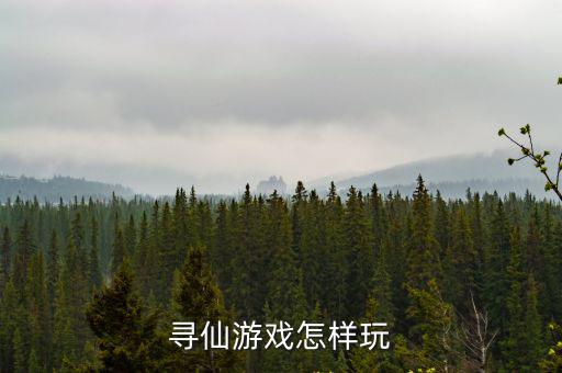 寻仙游戏怎样玩