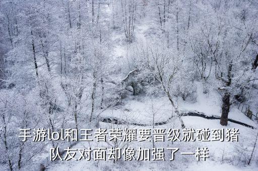 英雄联盟手游匹配到猪队友怎么办，手游lol和王者荣耀要晋级就碰到猪队友对面却像加强了一样