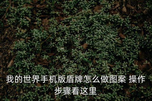 我的世界手机版盾牌怎么做图案 操作步骤看这里