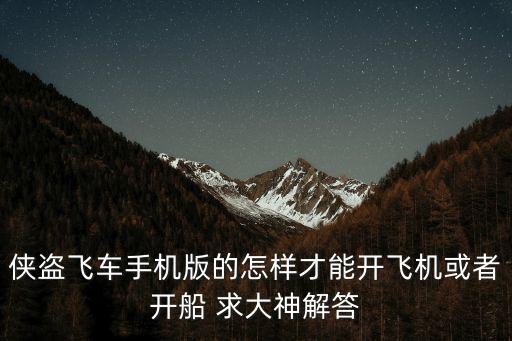 侠盗飞车手机版的怎样才能开飞机或者开船 求大神解答