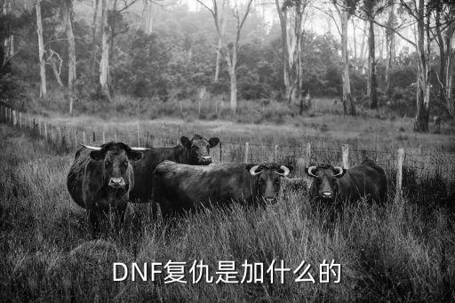 dnf女复仇是什么属性，dnf复仇满属性