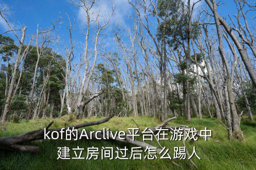 kof的Arclive平台在游戏中 建立房间过后怎么踢人