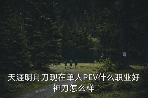天涯明月刀现在单人PEV什么职业好神刀怎么样