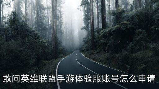 敢问英雄联盟手游体验服账号怎么申请