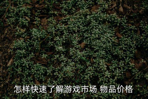 怎么查看吃鸡游戏装备价格，游戏的装备价格