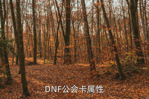 DNF公会卡属性