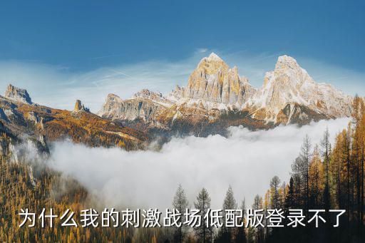 为什么我的刺激战场低配版登录不了