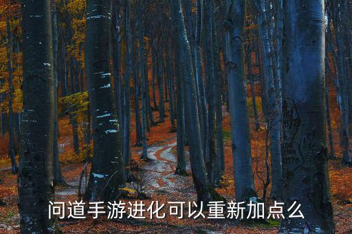 问道手游进化可以重新加点么