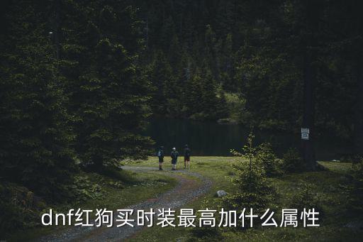 dnf红狗增幅什么属性，dnf红狗全身幽魂套增幅15有多少力量