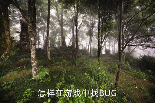 手游模拟器怎么找手游bug，怎样在游戏中找BUG