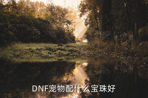 DNF宠物配什么宝珠好