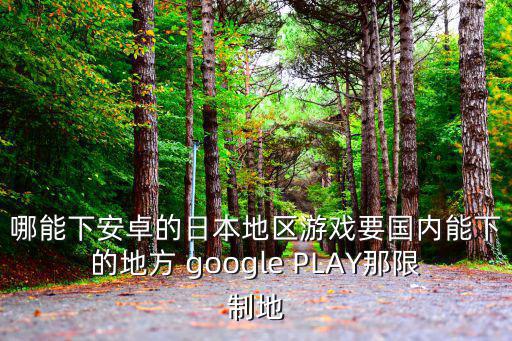 哪能下安卓的日本地区游戏要国内能下的地方 google PLAY那限制地