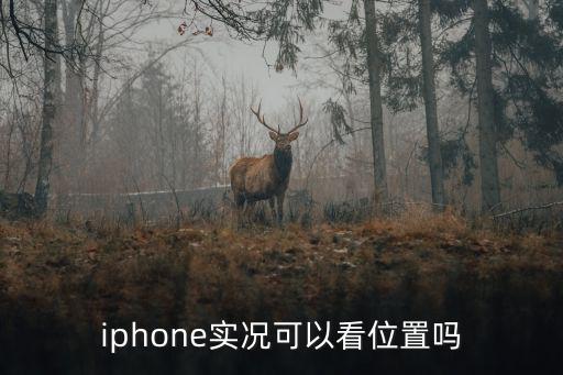 iphone实况可以看位置吗