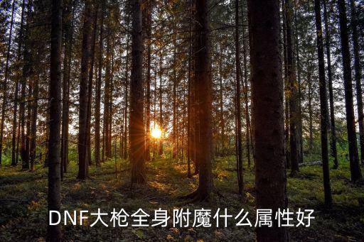 dnf满级大枪堆什么属性，大枪要弄什么属性比较好