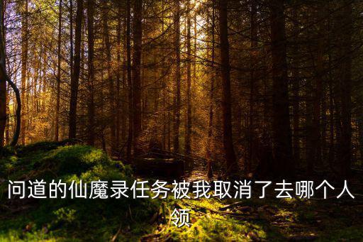 问道手游仙魔录怎么没有了，问道游戏仙魔录点了无名剑客如何没任务
