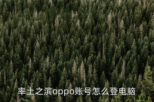 率土之滨手游怎么登录电脑，华为版率土之滨怎么在电脑上登录