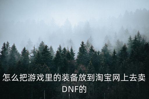 怎么把游戏里的装备放到淘宝网上去卖DNF的