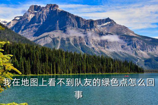 我在地图上看不到队友的绿色点怎么回事