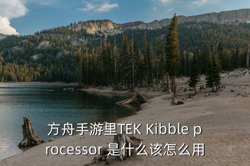 方舟手游870处理器怎么还卡，方舟手游里TEK Kibble processor 是什么该怎么用