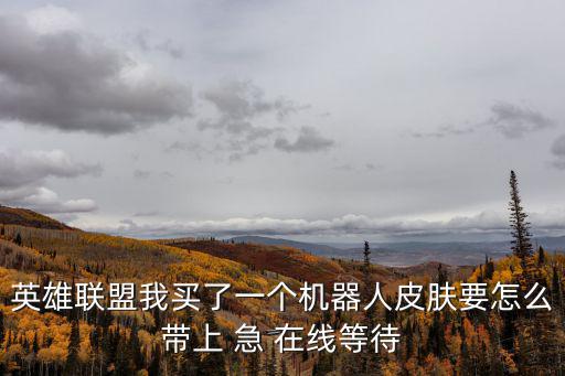 英雄联盟我买了一个机器人皮肤要怎么带上 急 在线等待
