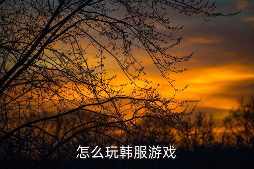 怎么玩韩服游戏