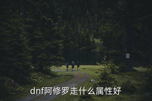 dnf修罗时光走什么属性，dnf修罗走什么属性好还是堆智力