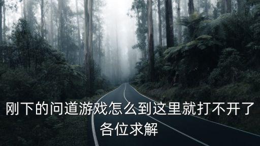 刚下的问道游戏怎么到这里就打不开了各位求解