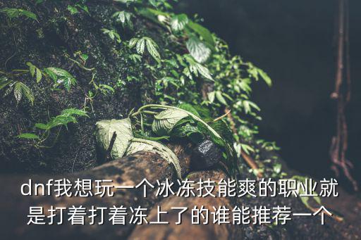 dnf我想玩一个冰冻技能爽的职业就是打着打着冻上了的谁能推荐一个
