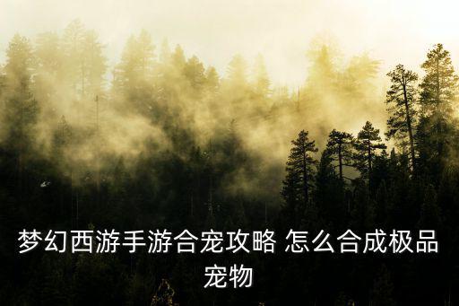 梦幻西游手游合宠攻略 怎么合成极品宠物
